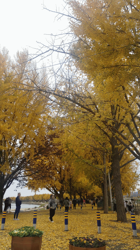 anigif2주차장으로 들어서는 입구.gif