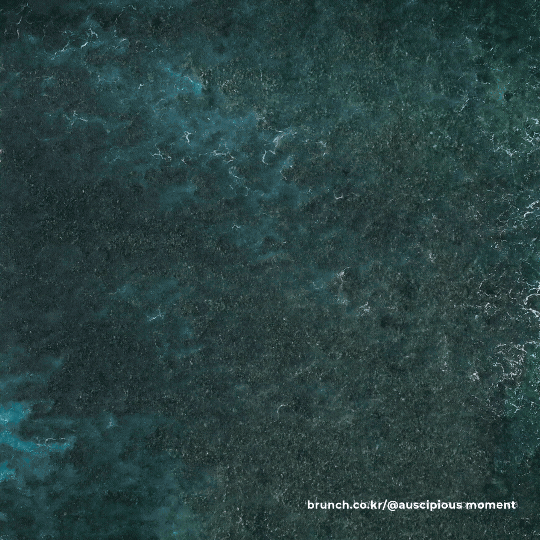 #브런치19 (2).gif