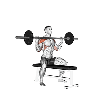 00911301-Barbell-Seated-Overhead-Press_Shoulders_360.gif