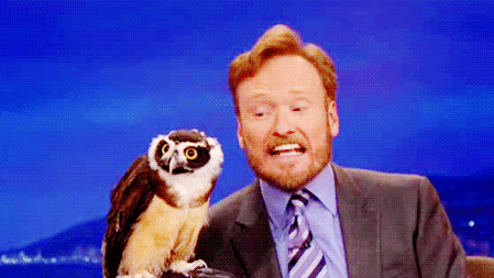 사람을 놀래키는나.gif