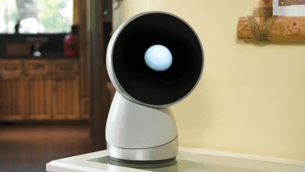 jibo_squash.gif
