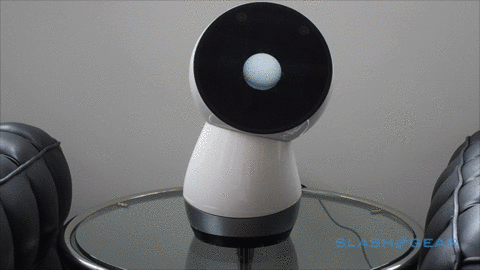 jibo_exaggeration.gif