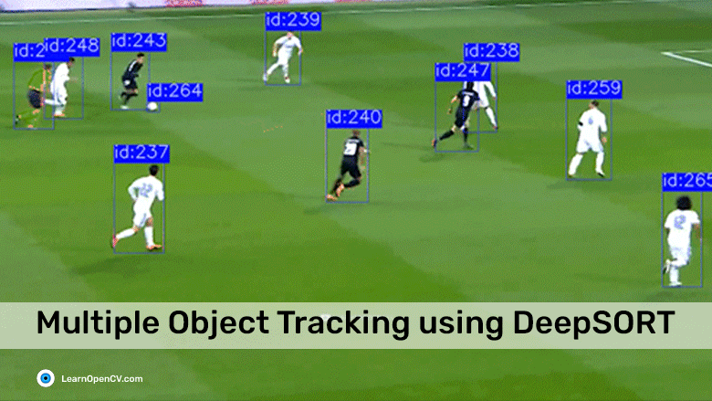Multiple-Object-Tracking-using-DeepSORT.gif