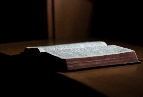 스크린샷 2024-01-21 194219.gif