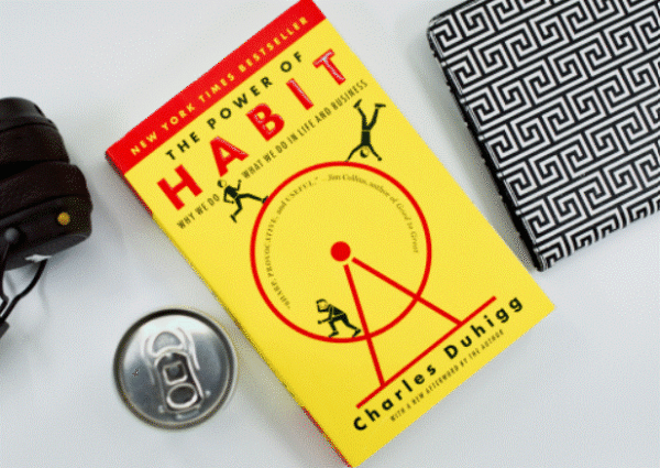 스크린샷 2024-03-03 143255.gif