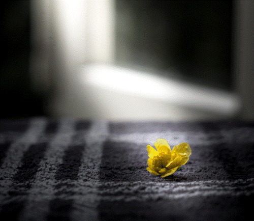 스크린샷 2023-12-31 211523.gif