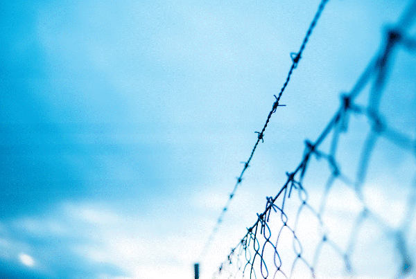 스크린샷 2024-01-14 154118.gif