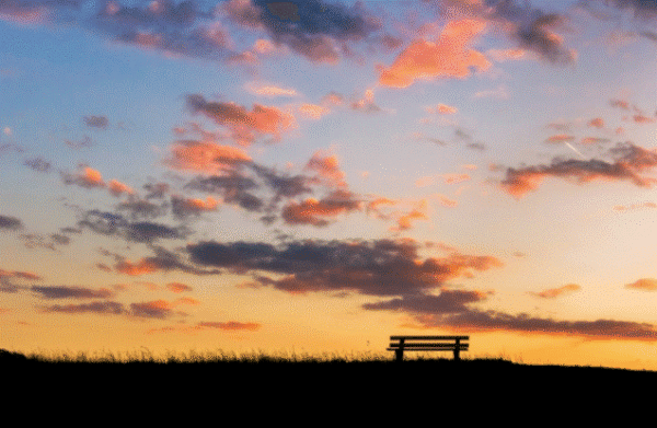 스크린샷 2024-02-04 143322.gif