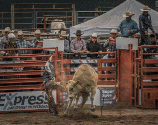 스크린샷 2024-02-01 162125.gif