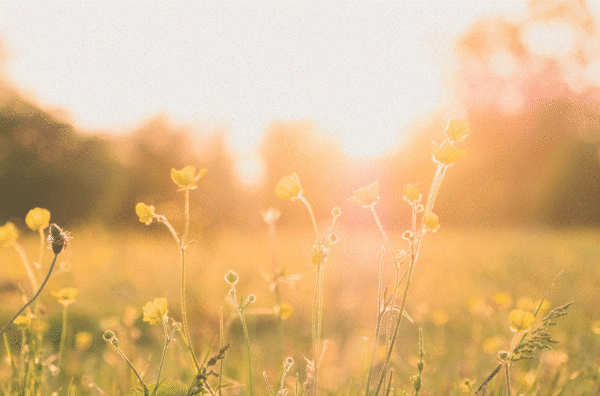 스크린샷 2024-01-28 154300.gif