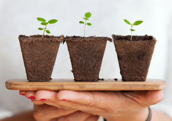 스크린샷 2024-01-17 145806.gif