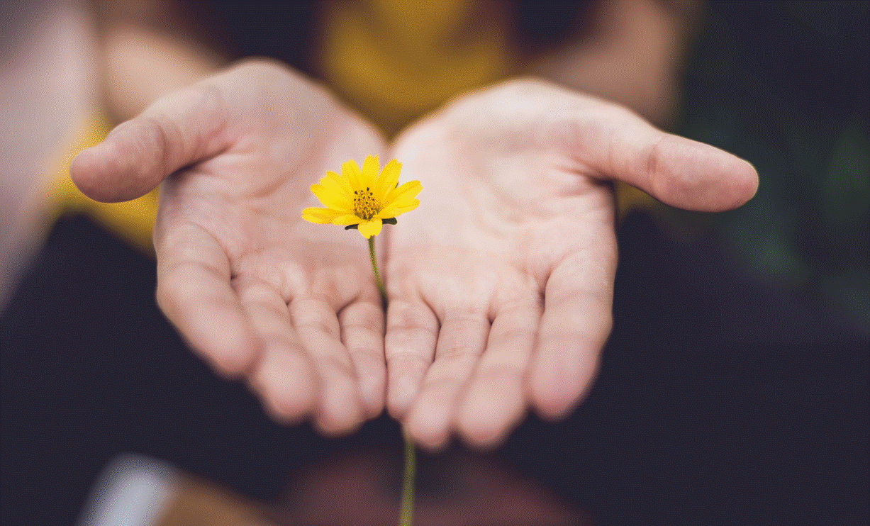 스크린샷 2023-12-14 173154.gif