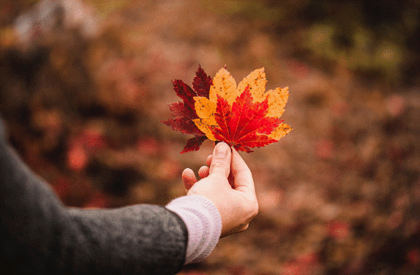 스크린샷 2023-12-16 114844.gif