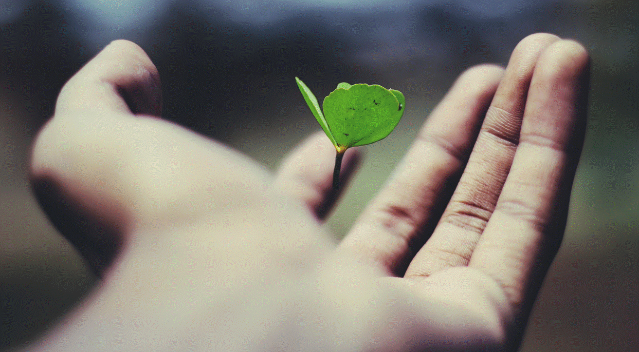 스크린샷 2023-12-14 171357.gif