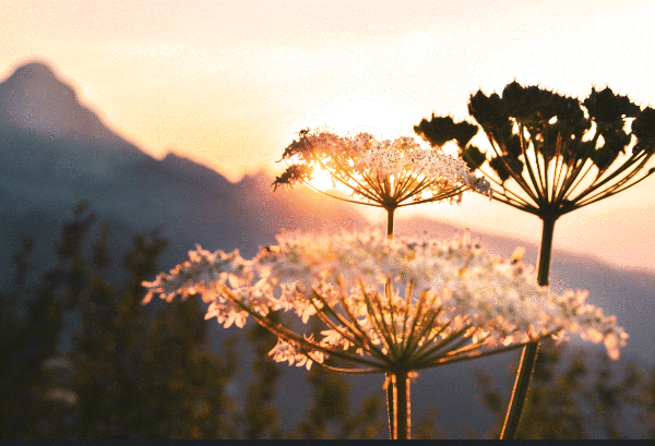 스크린샷 2023-12-31 220322.gif