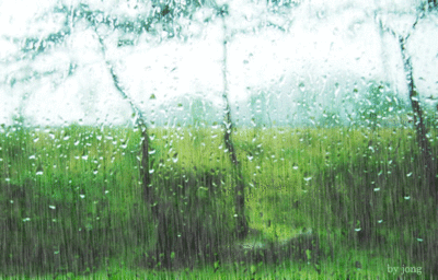 다운로드 -비내리는 이미지.gif