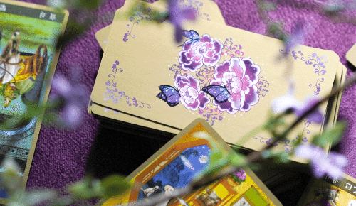 타로 잘보는 곳.gif