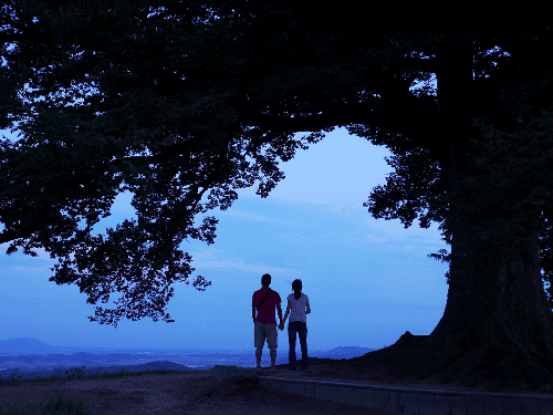 갑오일주 성격.gif