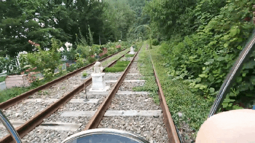 KakaoTalk_Photo_2023-08-02-13-13-58 001.gif