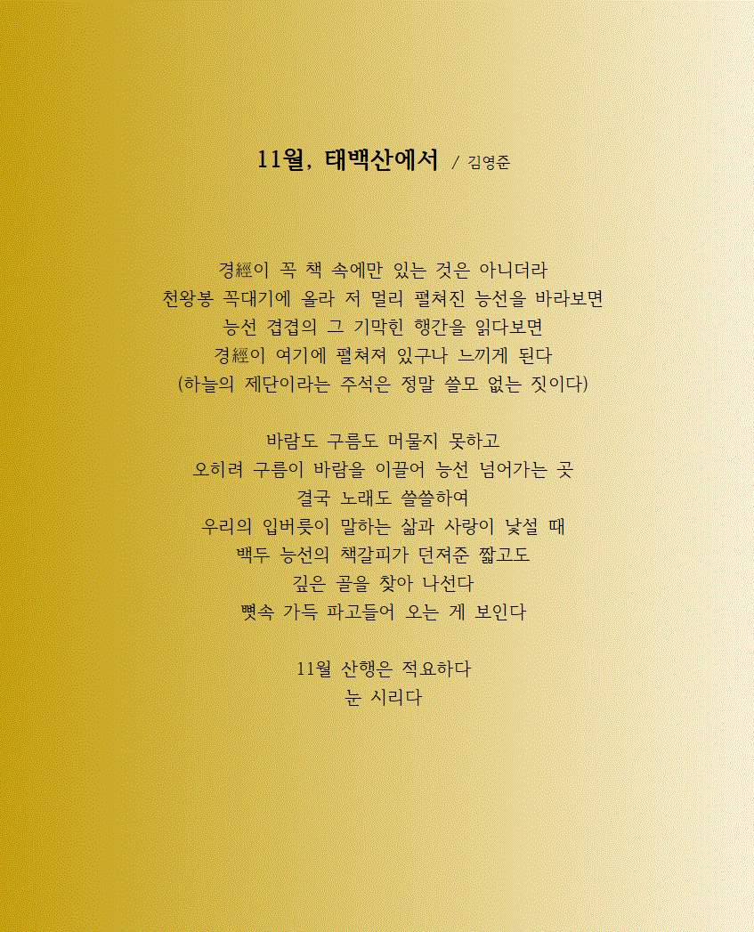 11월 태백산에서001.gif