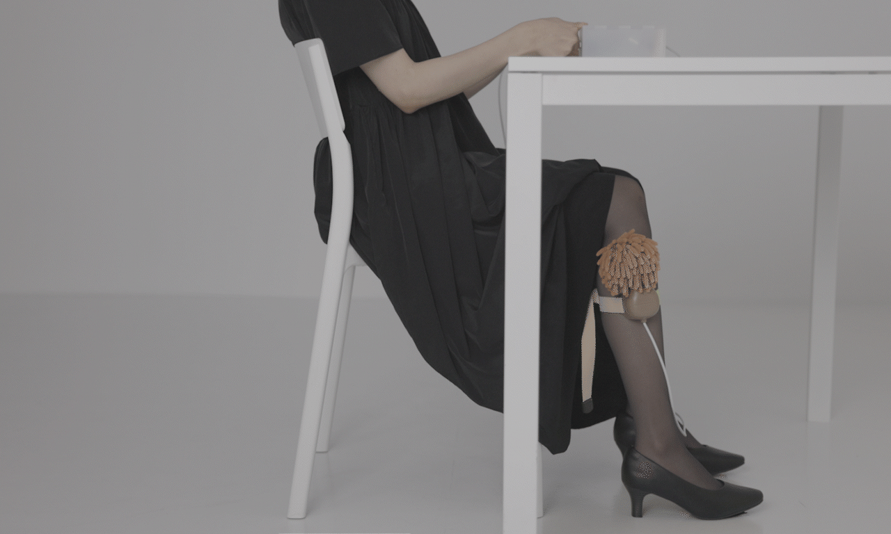 Doggie On & On_Interaction Interface.gif