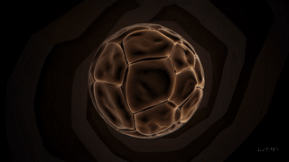 20250819_0924_Fractal Orb Transformation_simple_compose_01k2zvdf9ffvrbfdemdqzyyp4d.gif