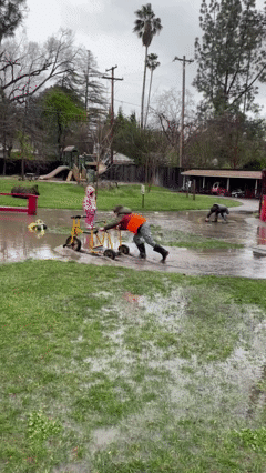 DPNS 물웅덩이.gif