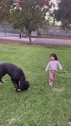 찰리와 엘리와 프리즈비.gif