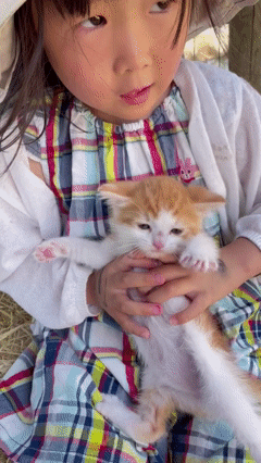 impossible acre_cat.gif