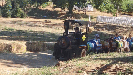 보아비스타 기차.gif