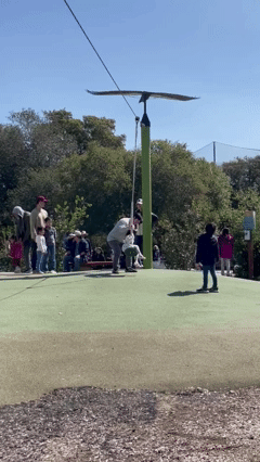 제목 없는 동영상 - Clipchamp로 제작 (1).gif