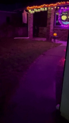 (gif) halloween night 2.gif