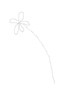 flower5.gif