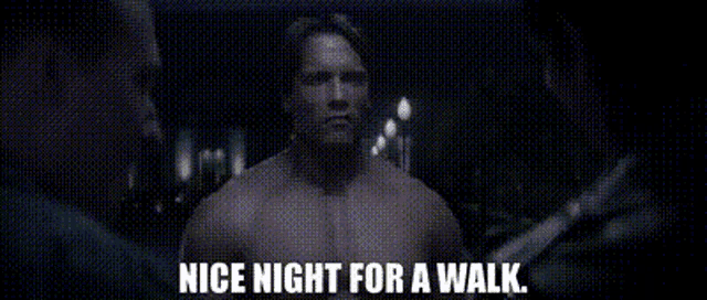 terminator-nice-night-for-a-walk.gif