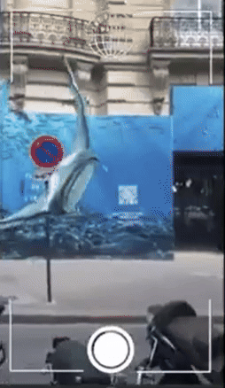 3. adidas_endplasticwaste-1.gif