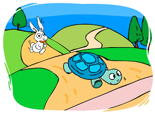 Rabbit and Turtle.gif