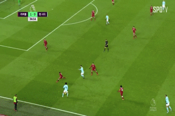 쳄보 살라 역습.gif