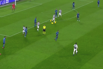 5번 케디라 2.gif