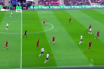 토트넘 골.gif