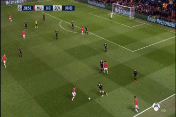 #2 펠라이니 머리 - 1.gif