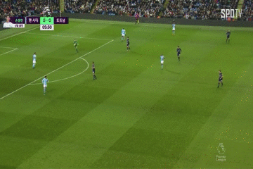 토트넘 다이아몬드.gif