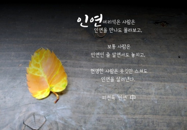 02화 옷깃만 스쳐도 인연이라는데, 타생지연