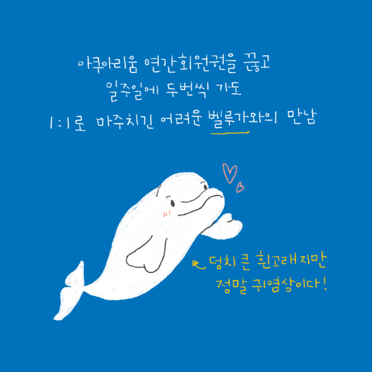 벨루가