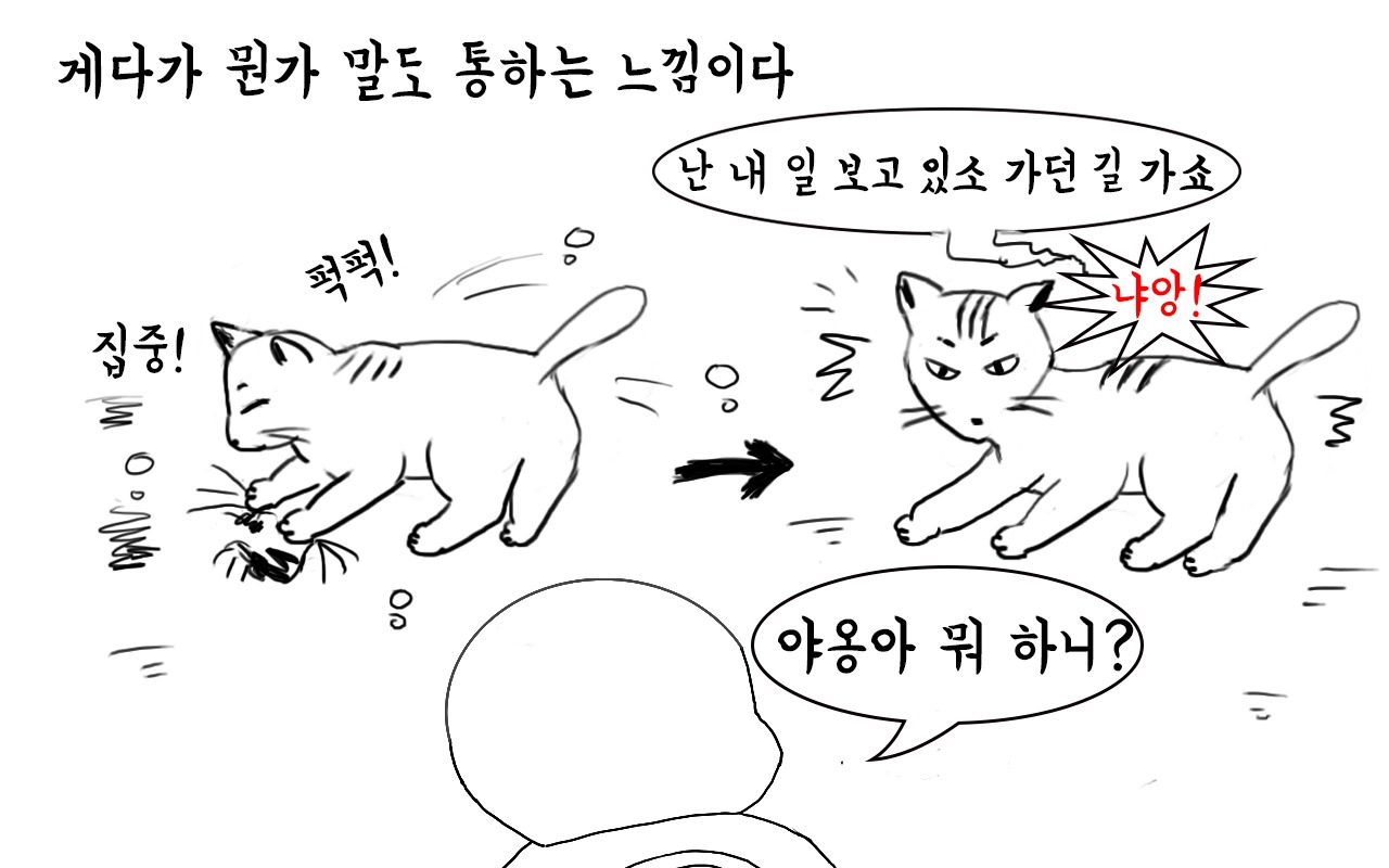 부기데이즈 14-2.jpg