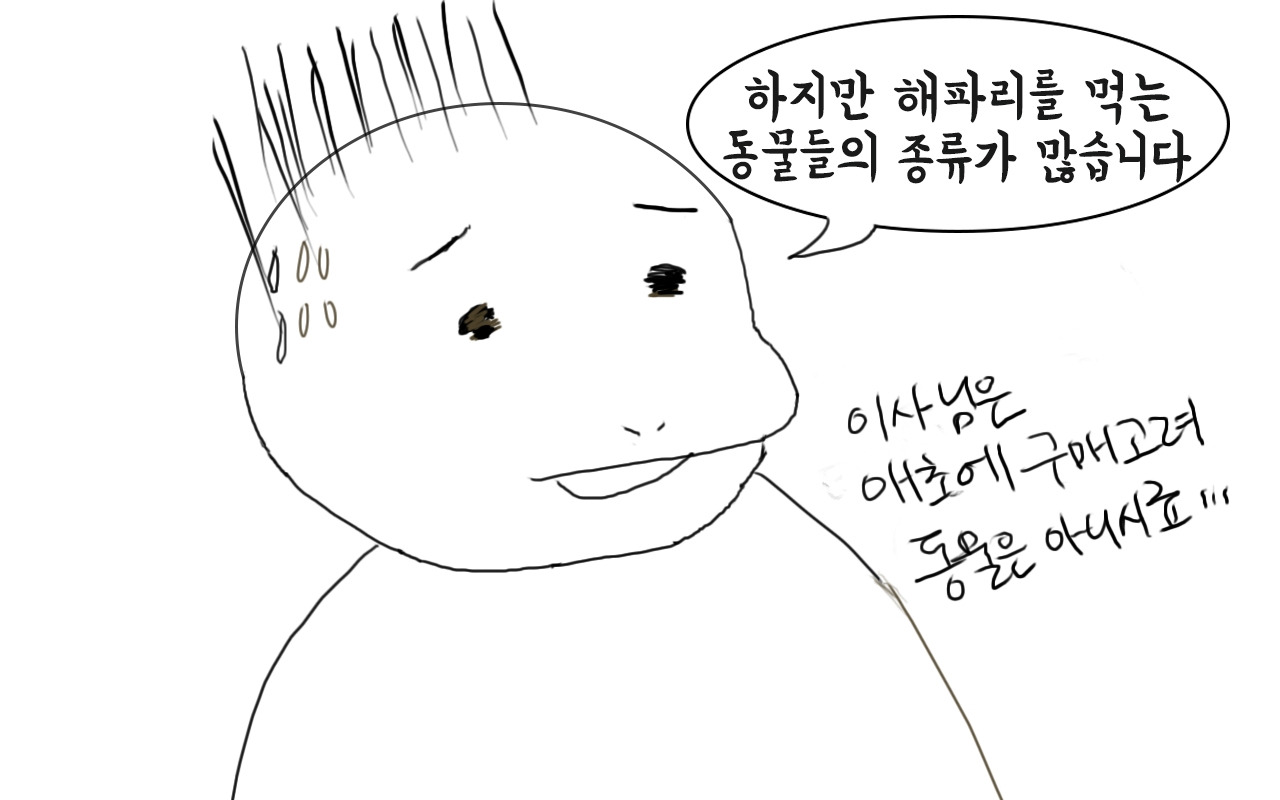 부기데이즈 11-3.jpg