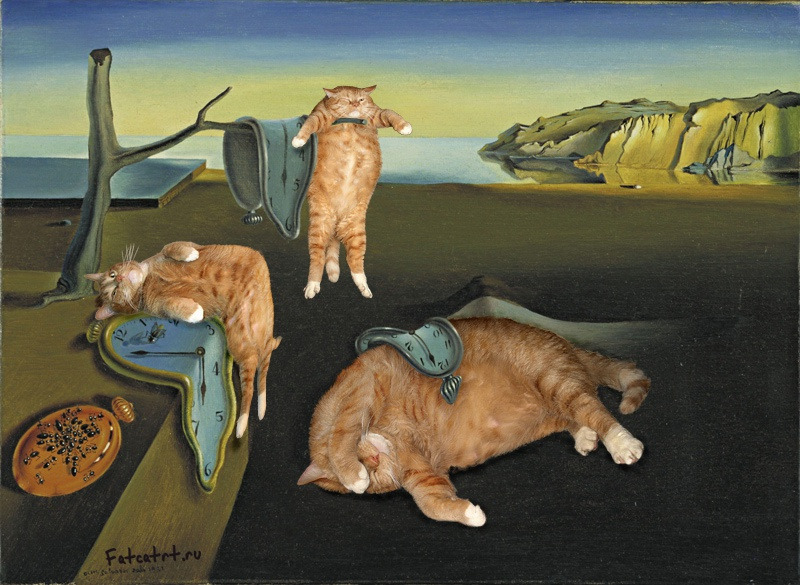 dali-the-persistence-of-memory-cat.jpg-nggid03107-ngg0dyn-800x585x100-00f0w010c010r110f110r010t010.jpg