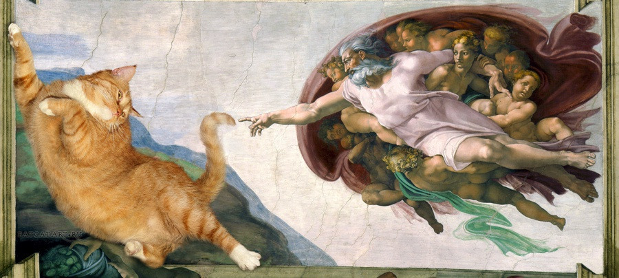 Michelangelo_-_Creation_of_cAt-dam-cat-w.jpg-nggid03159-ngg0dyn-900x404x100-00f0w010c011r110f110r010t010.jpg