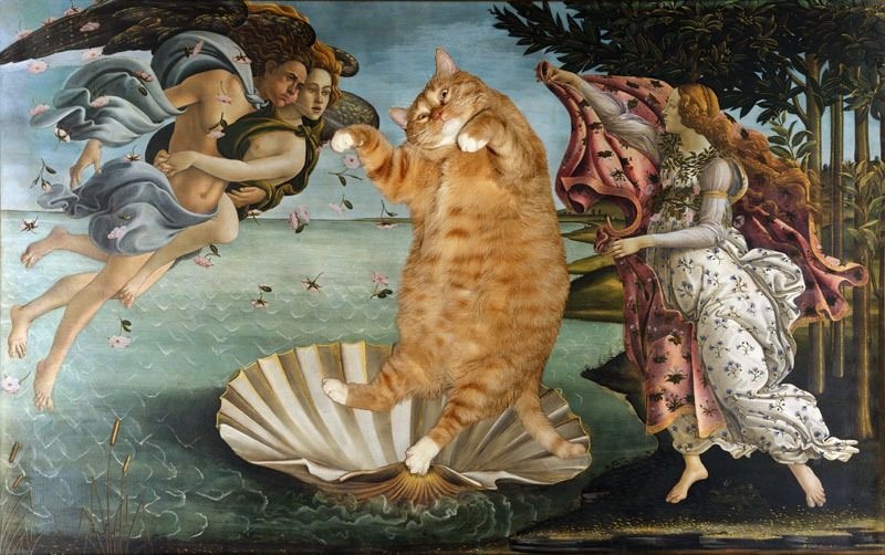 botticelli-the-birth-of-venus-cat-sm.jpg-nggid0265-ngg0dyn-800x502x100-00f0w010c010r110f110r010t010.jpg