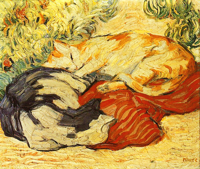 Marc-cats_on_a_red_cloth.jpg