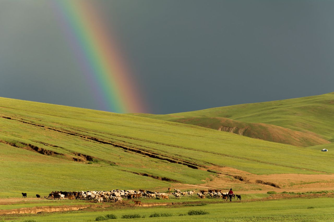 rainbow-mongolia-steppe-1536x1024.jpg